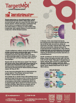 Monoclonal Antibodies